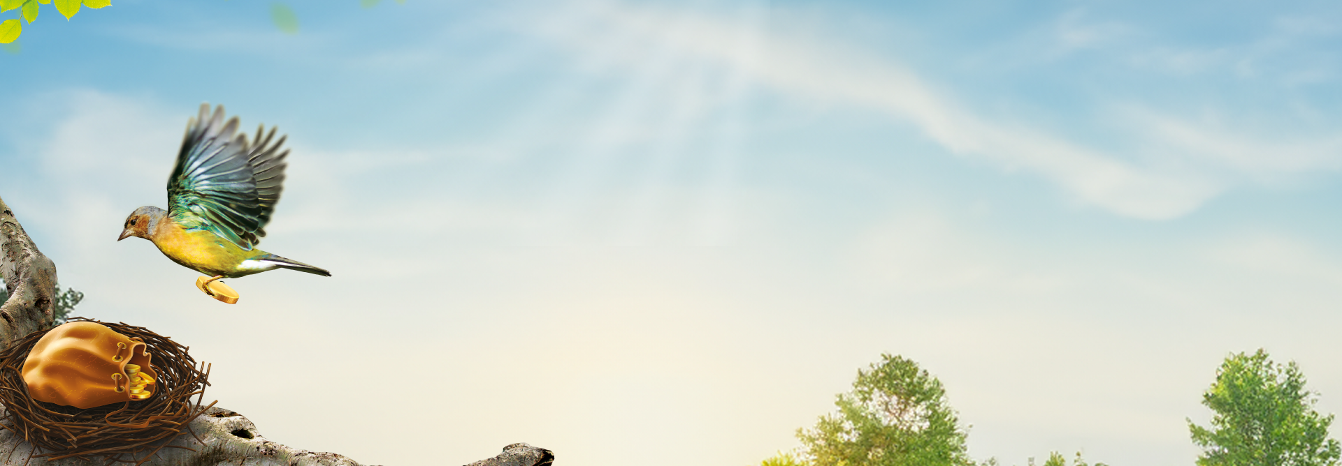 Sama Naffa - Épargne Intelligente pour l'Afrique de l'Ouest